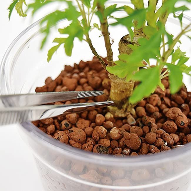 ロングピンセット