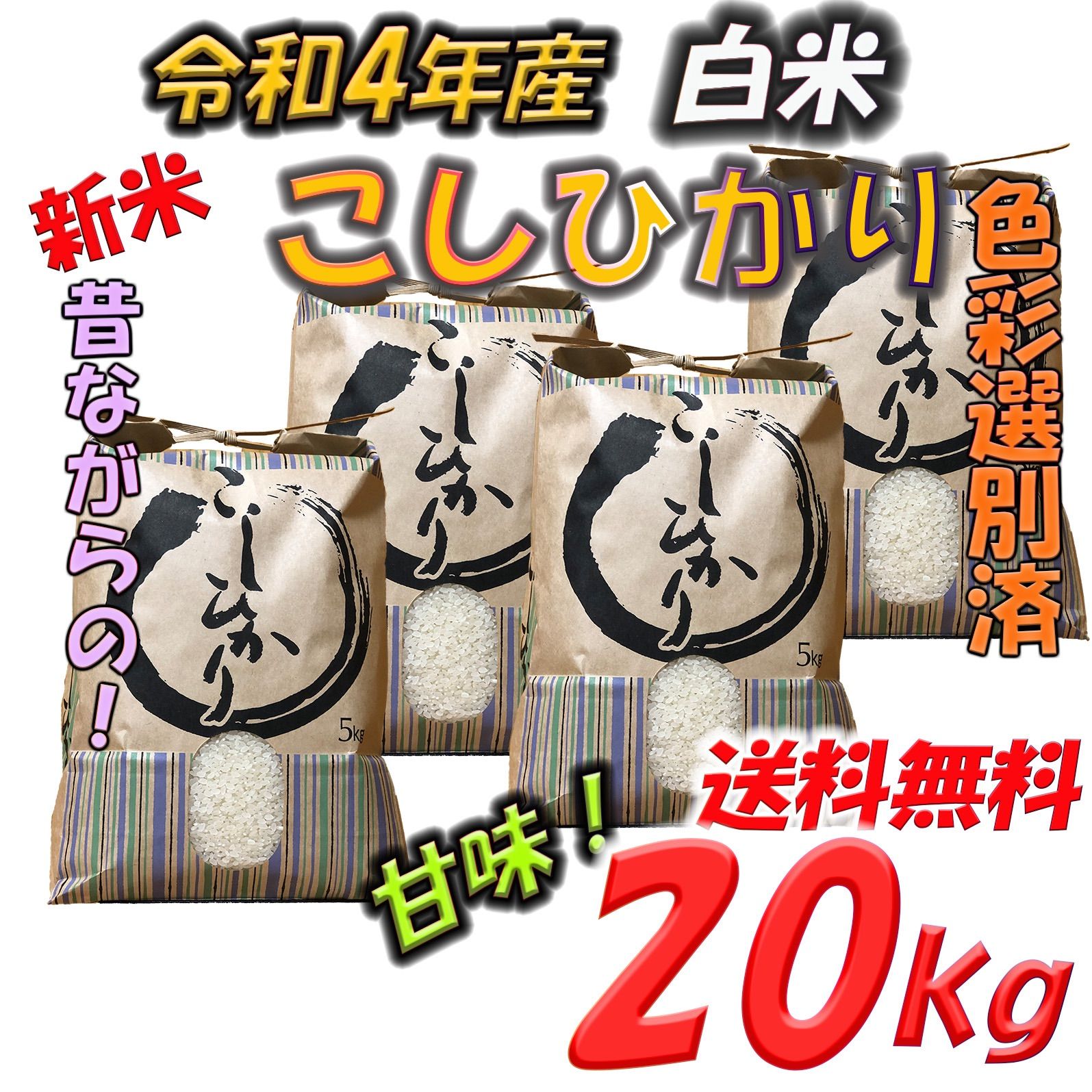 白米　20kg コシヒカリ　新米　埼玉県産　令和4年産　送料無料　米　20キロ