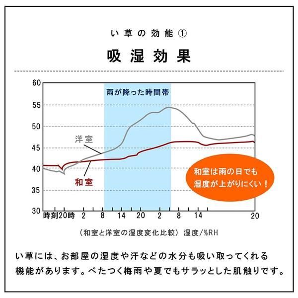 置き畳 ユニット畳 和室 4層 約70×70×3cm 単品 防炎 軽量 い草 日