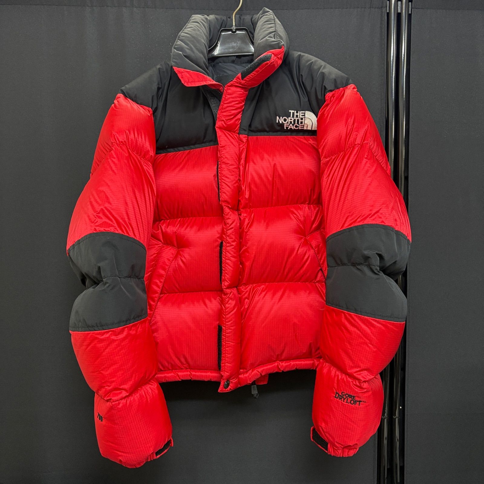 THE NORTH FACE ザノースフェイス アウター ダウンジャケット メンズ 