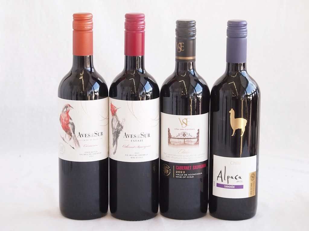 大天使チャミュエルの癒し】自己愛を呼び覚まし魂を輝かせる✨愛と喜び