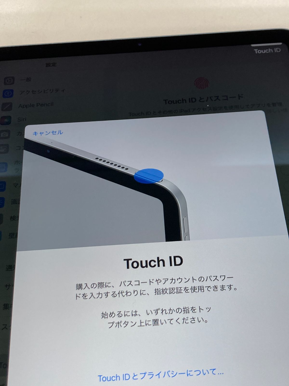 美品 電池82% iPad Air (第4世代) 256GB Wi-Fiモデル ブルー 指紋認証