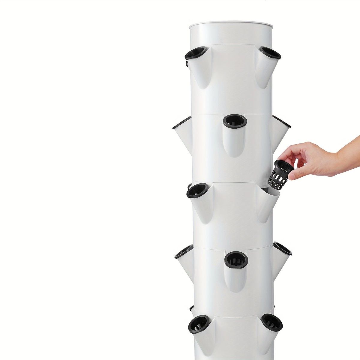 グリーントップ