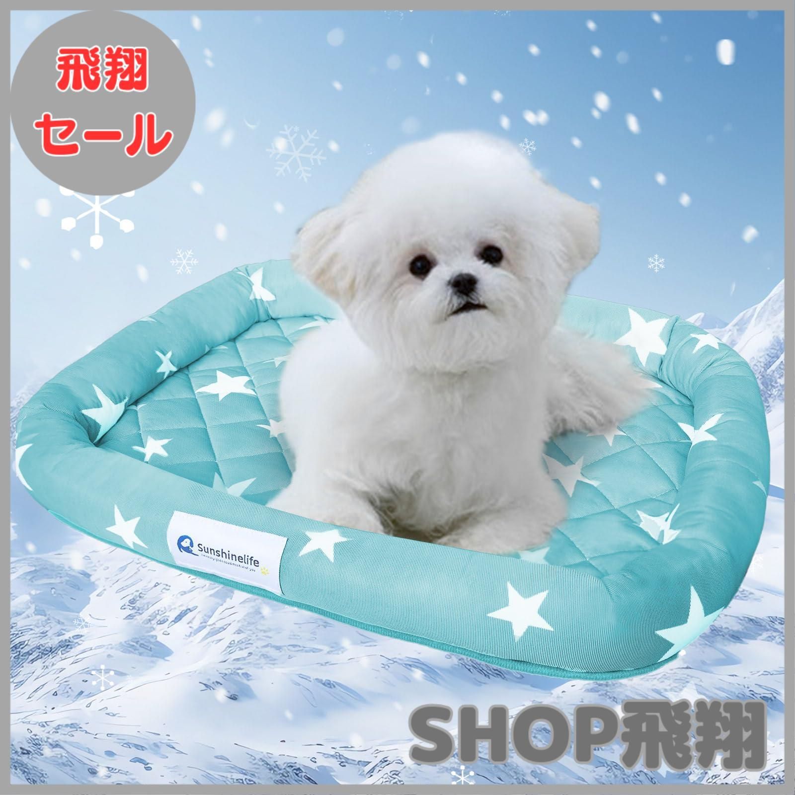 ビンテージ お皿 タイダイ 渦巻 レインボー クリアガラス 太陽 希少 美品