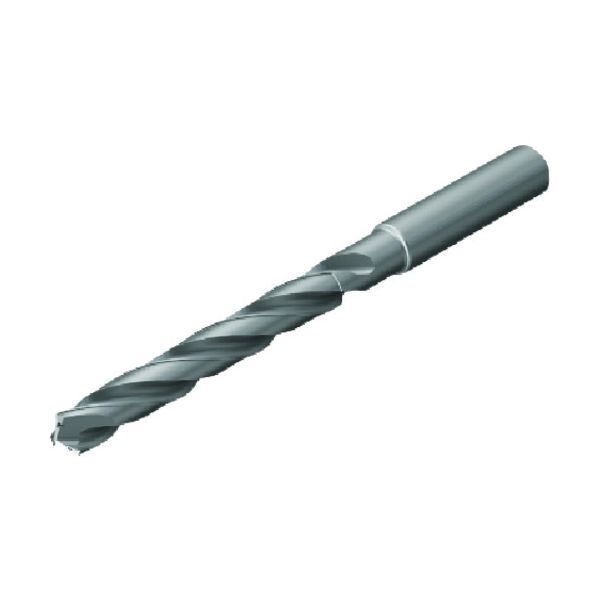 新品・7営業日以内発送】サンドビック 430.1-0500-030A1-NM（N1BU） 高