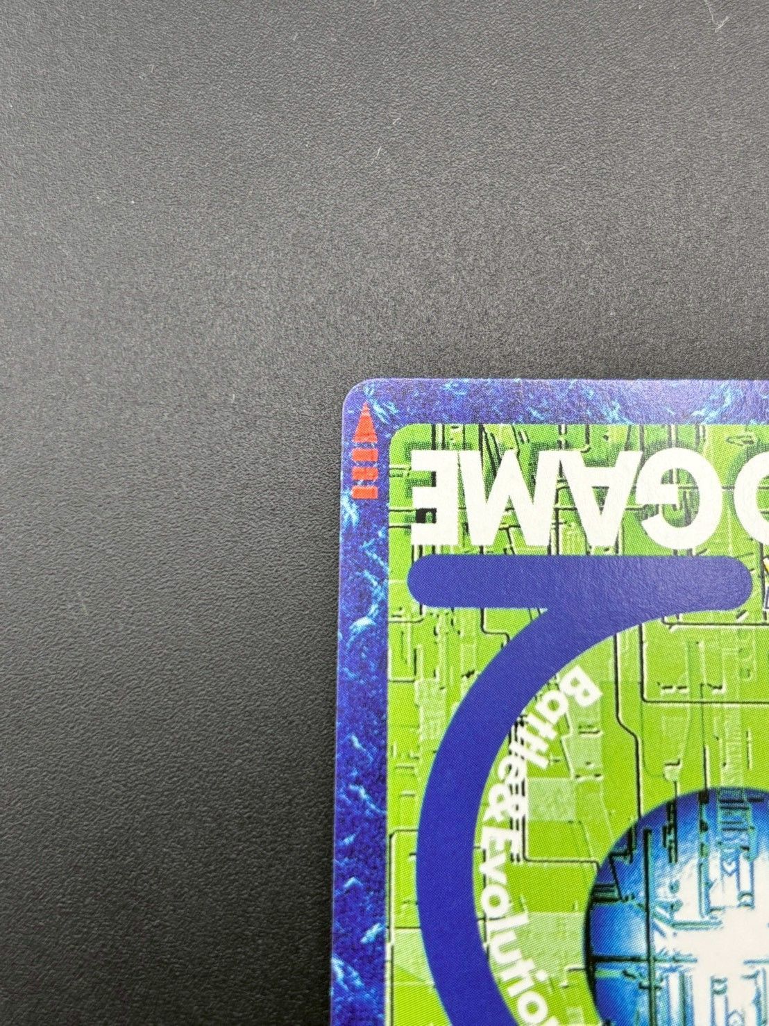 カオスモン 2005年