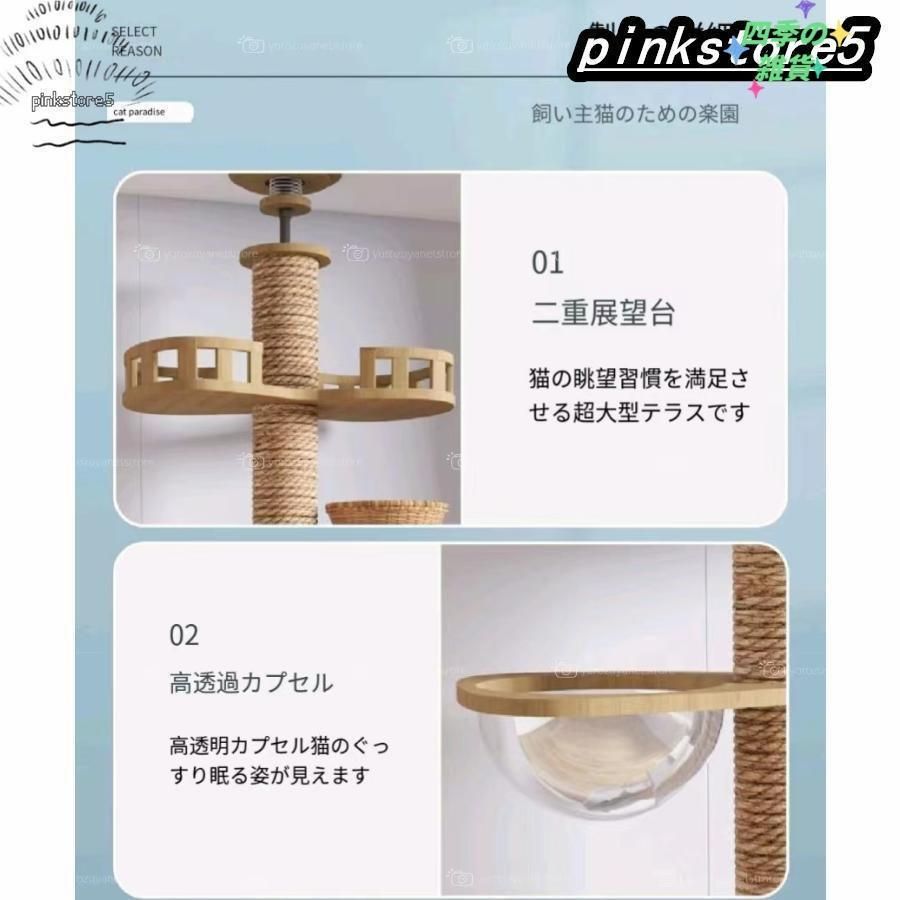 猫ハウス