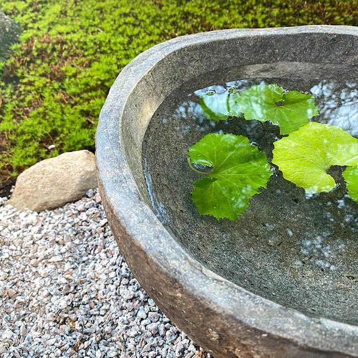 水鉢 石 メダカ鉢 めだか 大型 おしゃれ 庭 つくばい 手水鉢 蹲 睡蓮鉢 金魚鉢 水盤 鉢 坪庭 ガーデニング 和風 M (V) - メルカリ