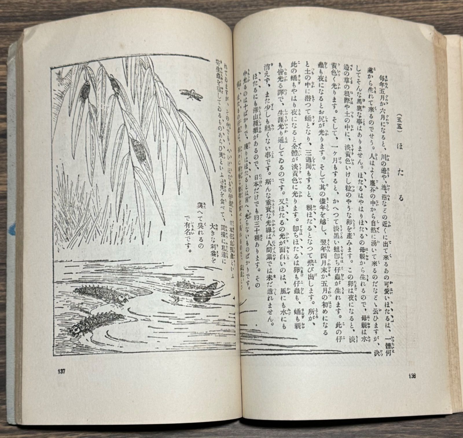 初版】戦前古書 小學生全集第78巻 蟲の繪物語 【著者】農學博士