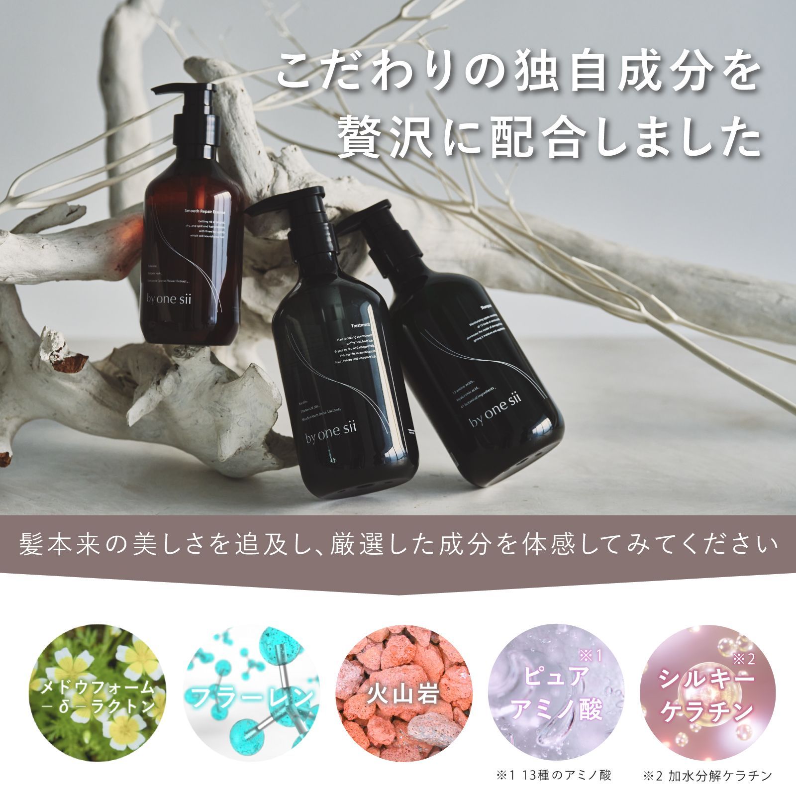 バイワンシー コンプリートセット 【公式通販】