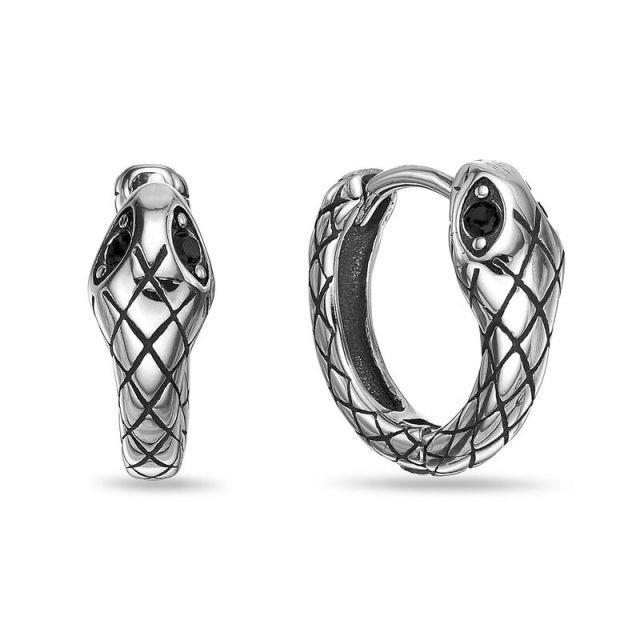 Earrings Stainless