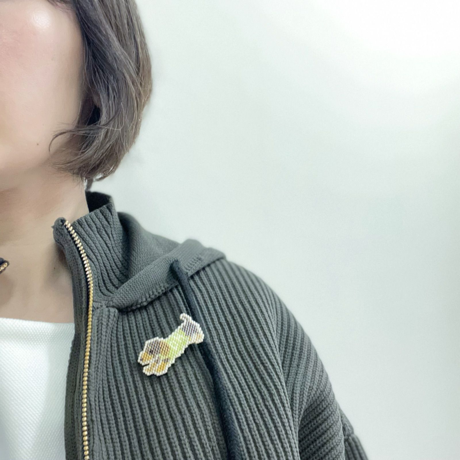 遊ぼうよ！なダックスのブローチ・チョコタン(グリーン)