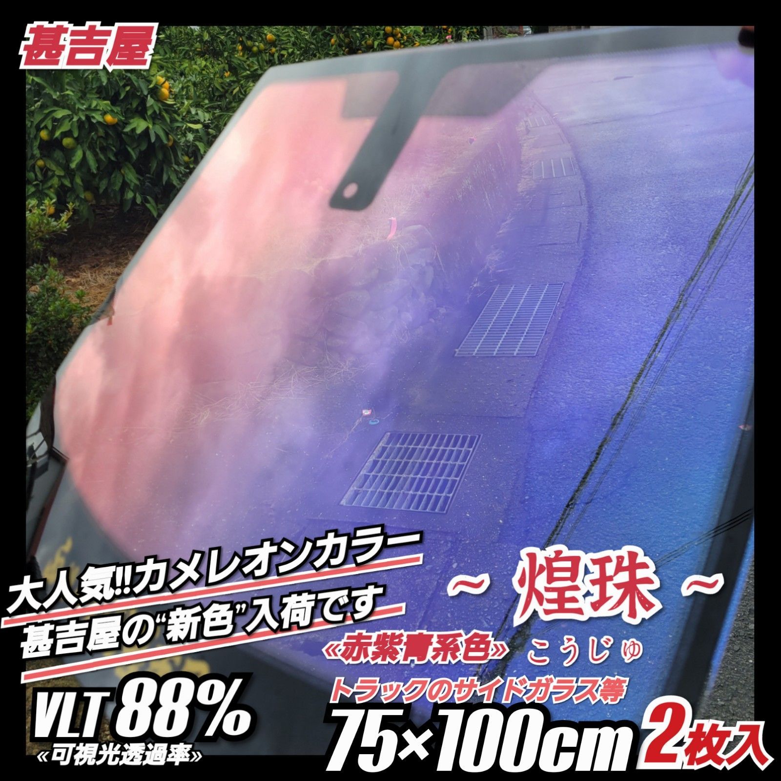 新品》煌珠こうじゅ/カメレオンティント/赤紫青系/縦75×横100㎝ 2枚入