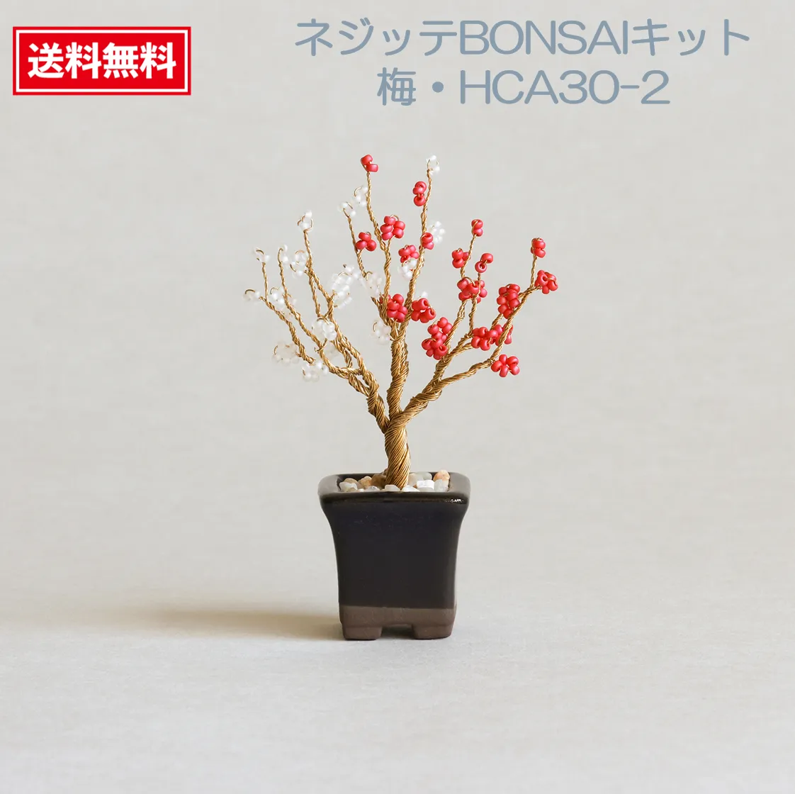 2025年最新】miyu鉢の人気アイテム - メルカリ