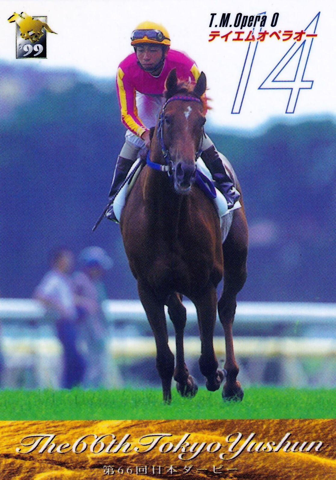 東ハト　競馬カード　テイエムオペラオーのフォルダ　カード200枚以上 東ハト 競馬カード テイエムオペラオーのフォルダ カード200枚以上