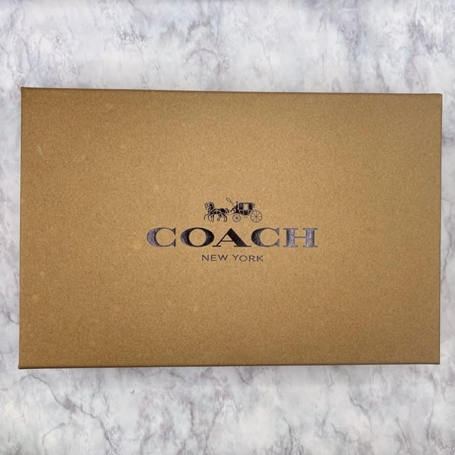 COACH コーチ ×バスキアコラボ シグネチャー ダイナソークラウン