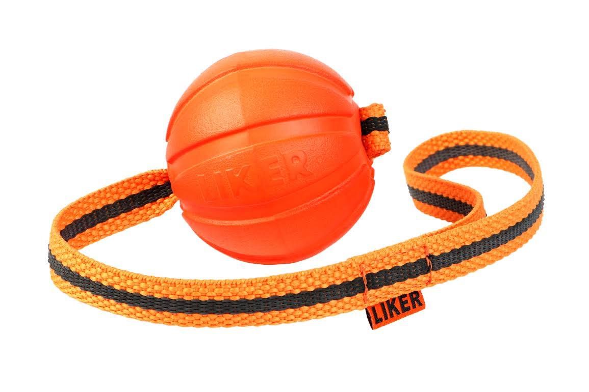 鉄瓶 茶道 専用箱 お手入れの栞