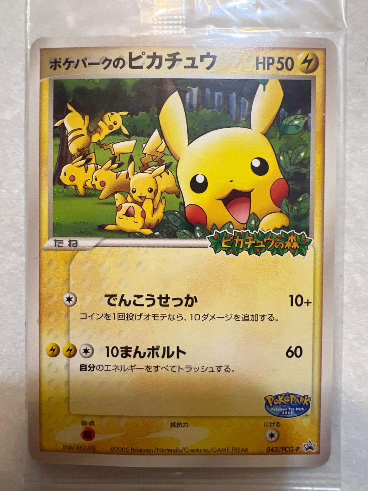 ポケパーク2005 ポケモンカード 14枚セット プロモ 新品未開封