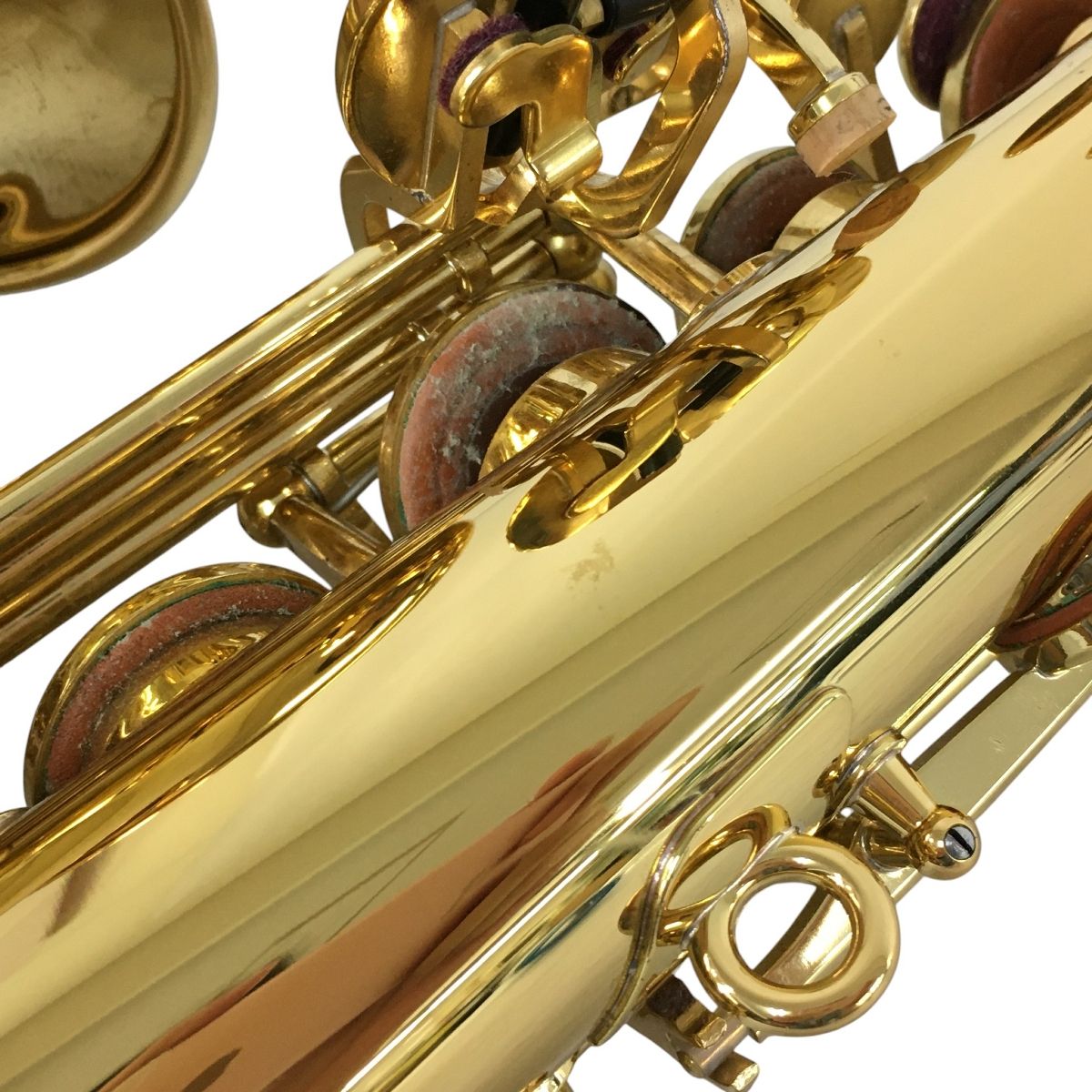 管楽器 セミハードケース