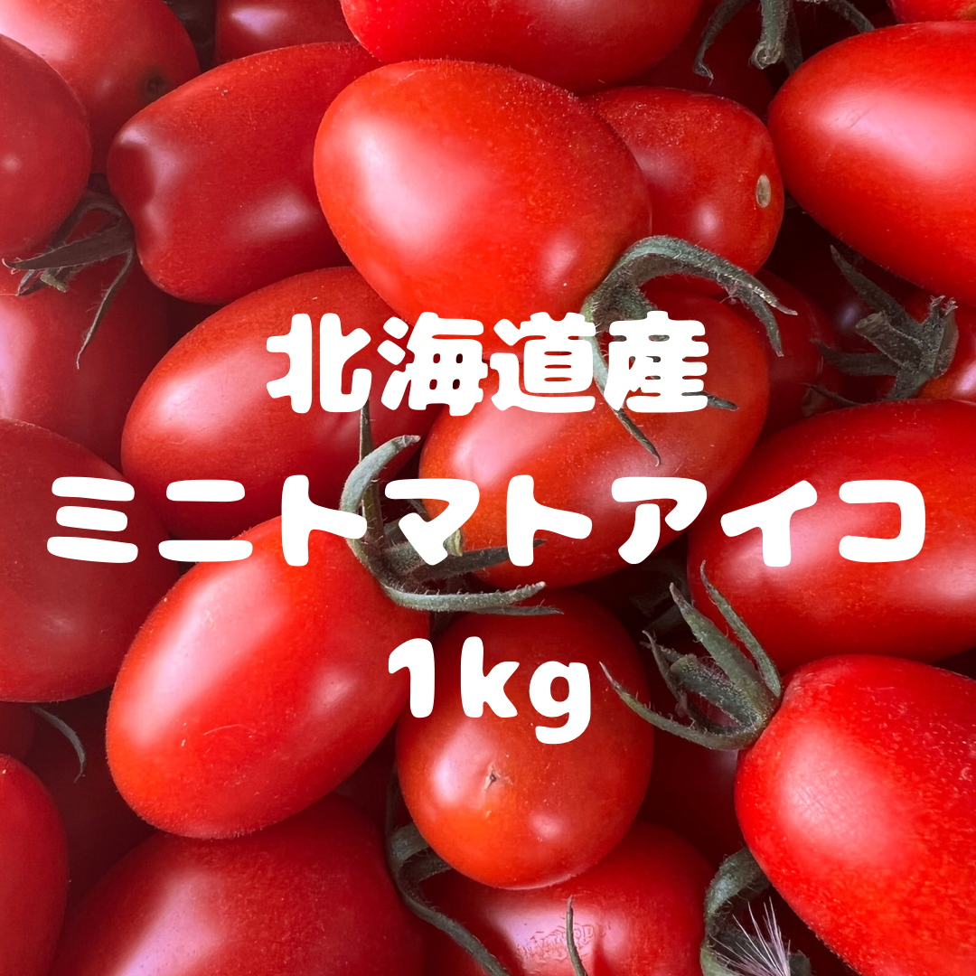 ミニトマトアイコ1kg-0