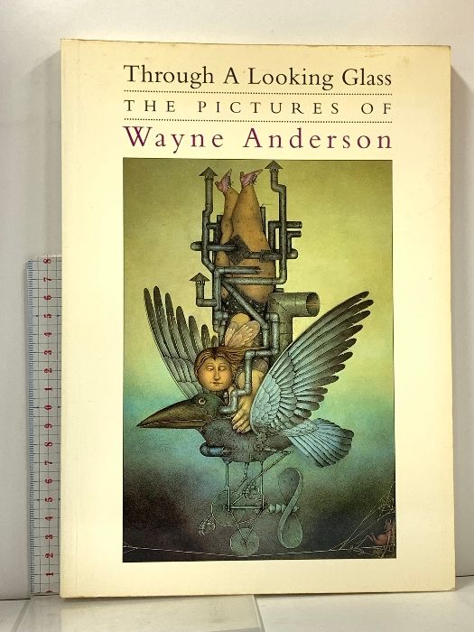 洋書 図録 Through A Looking Glass THE PICTURES OF Wayne Anderson PAPER TIGER