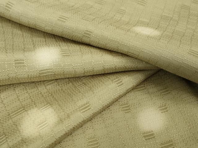 平和屋着物 上 小紋 お召地 丸文 蛍暈し 薄い利休色地 DZAA9359kh5