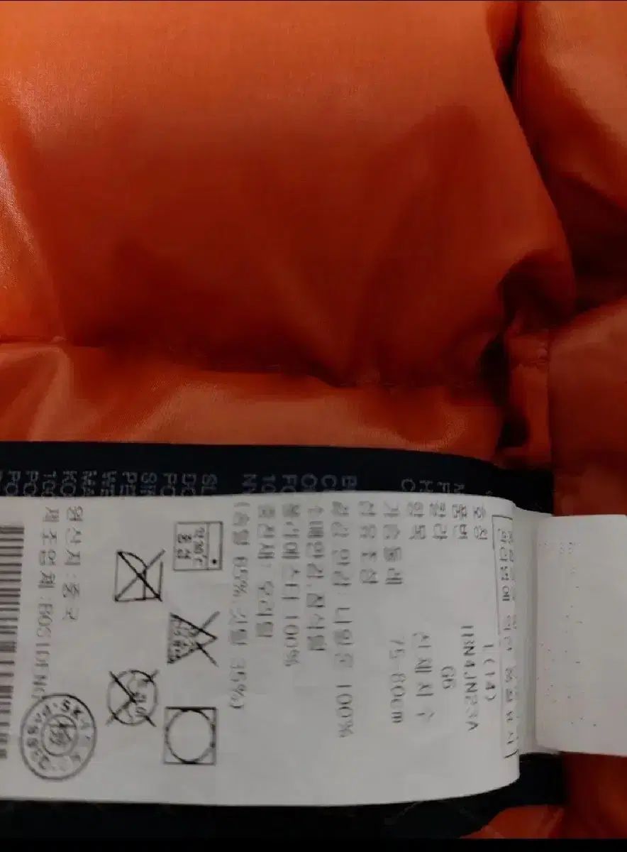 トミーヒルフィガー ジュニア