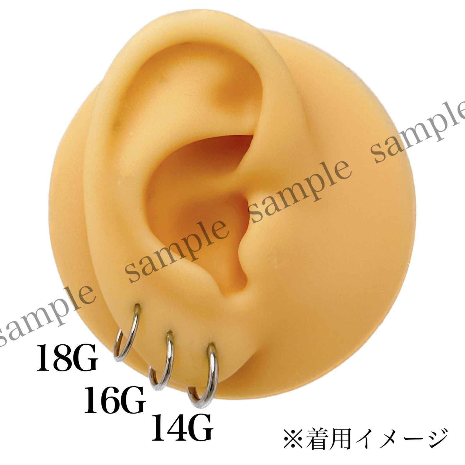 18G セグメントリング 2本 軟骨 耳たぶ フープ ステンレス ボディ