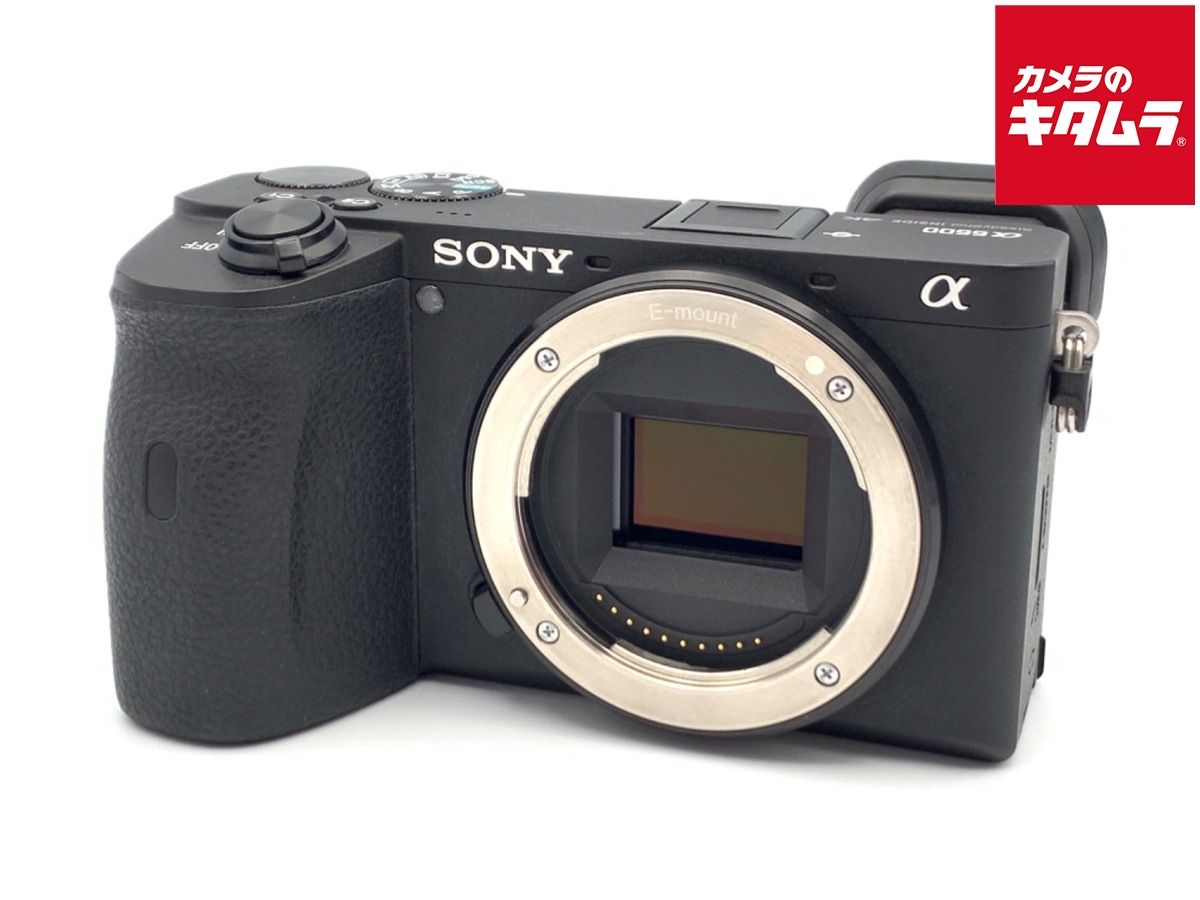 SONY α6600 ズームレンズ付きILCE-6600M 【おまけ付き】