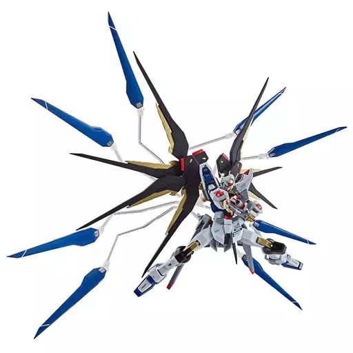 中古】フィギュア METAL ROBOT魂 ＜SIDE MS＞ ZGMF-X20A