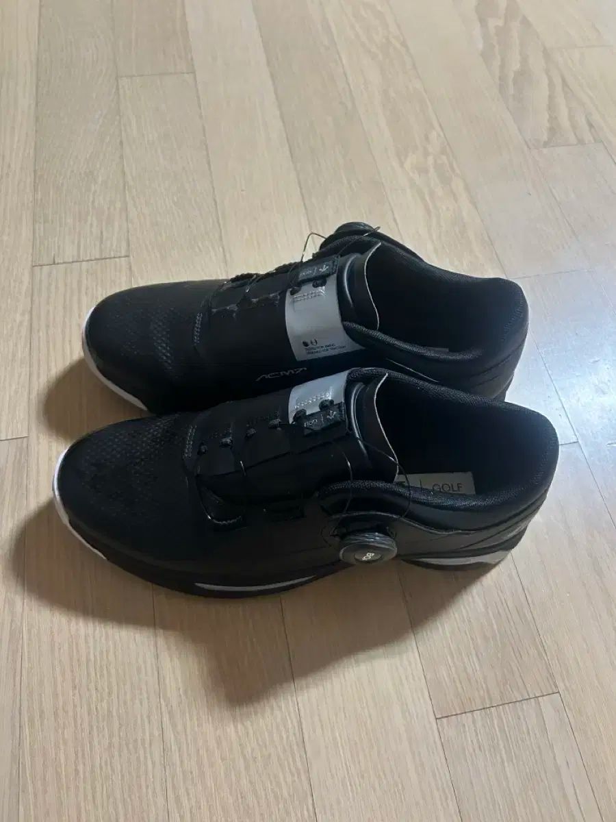 DESCENTE ゴルフシューズ アークメント プロ 黒 カラー 265mm