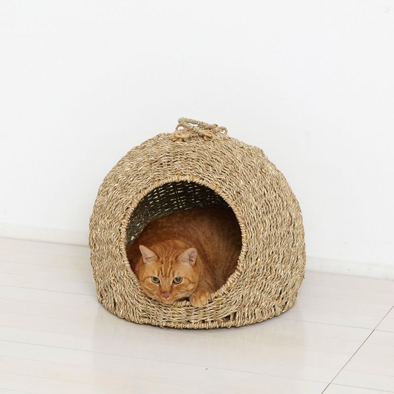 ねこ ペット用品