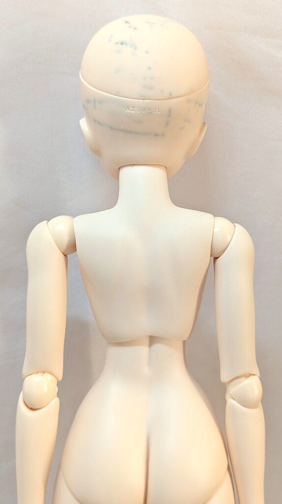 アゾン アナザーリアリスティックキャラクターズ ホロライブ ときのそら AZONE INTERNATIONAL::キャラクタードール::商品詳細