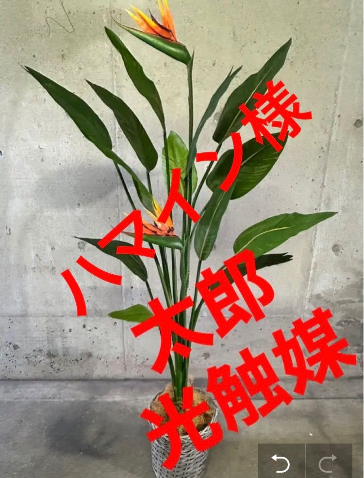 光触媒 人工観葉植物 ウォールグリーン フェイクグリーン ストレチア