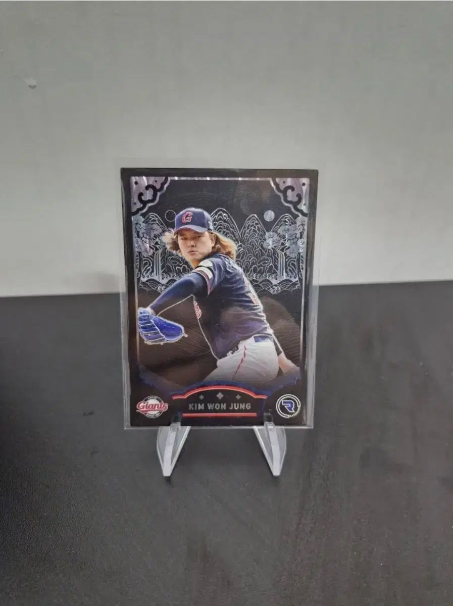 OGASAKA CT-IZ 148 ワニ柄 ソールカバー付き人気商品 OGASAKA CT-IZ