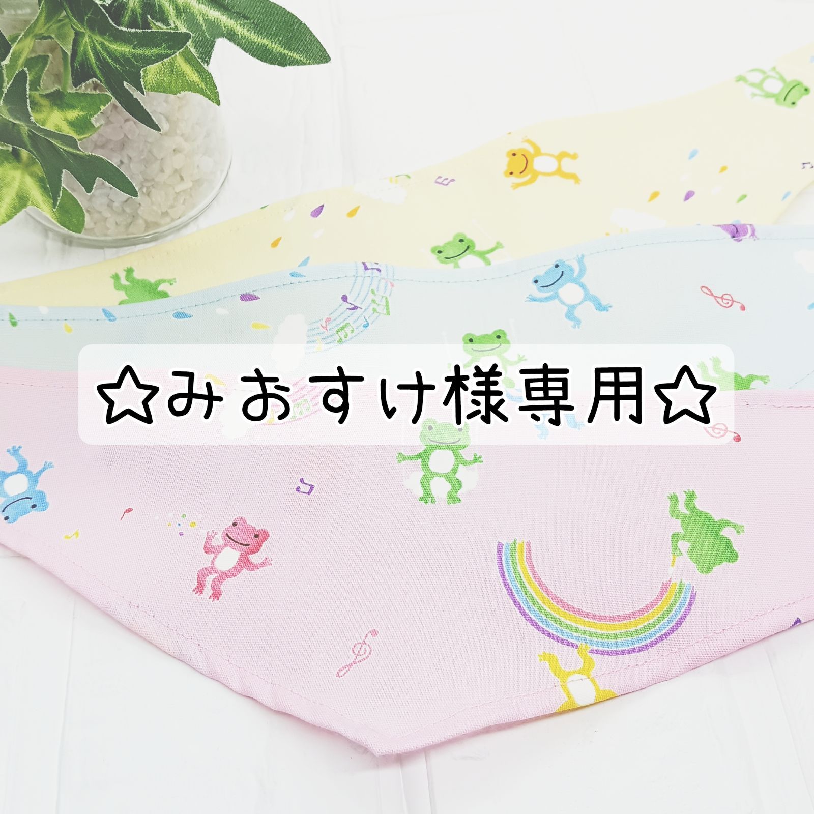 みおのすけ様専用 みおのすけ様専用