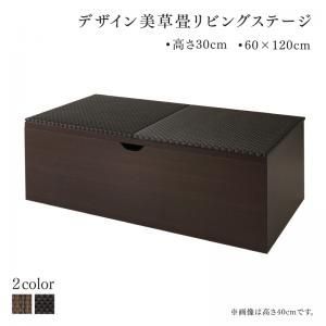 国産 収納付きデザイン美草畳リビングステージ 風凛 フーリン 畳ボックス収納 120×60cm ロータイプ