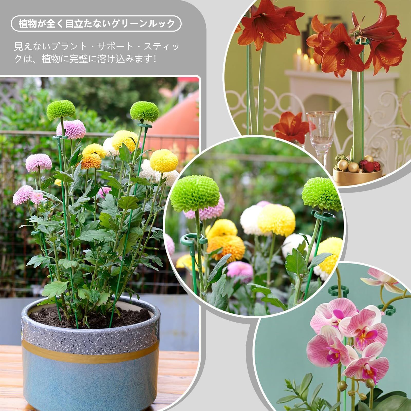 新品・即日発送】誘引 花支柱 支柱 植物サポート ガーデニング用支柱 観葉植物 つる性植物 花支え 【20本組】花ささえ 観葉植物 支柱棚 植物支柱  フラワースタンド 観賞植物用/野菜用 園芸支柱 支柱 農業用 aninako 園芸用 (17CM/27CM) - メルカリ