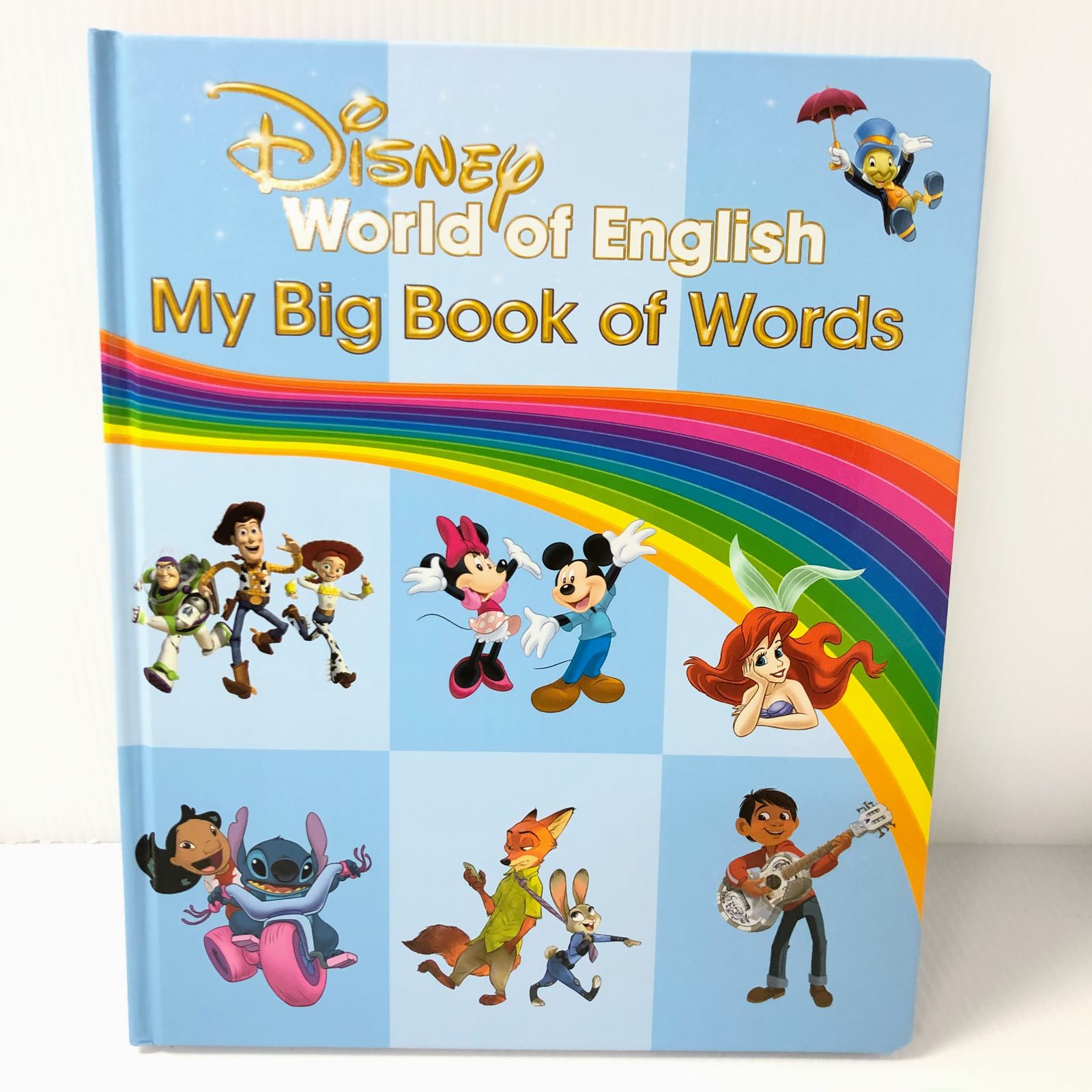 ディズニー英語システム MY BIG BOOK OF WORDS 2022年 美品 DWE