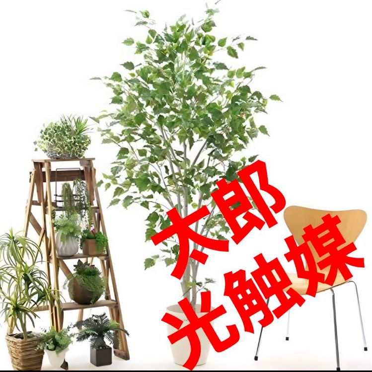 光触媒 人工観葉植物 ウォールグリーン フェイクグリーン 白樺 【公式