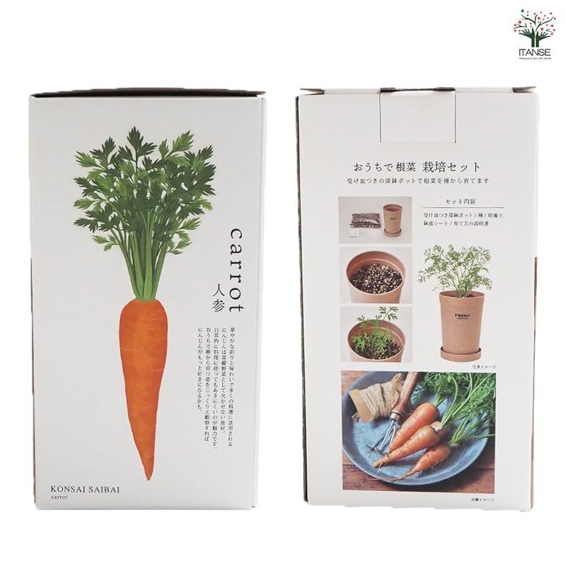 自分で種から育てた野菜を引き抜いて収穫の喜びを味わいましょう