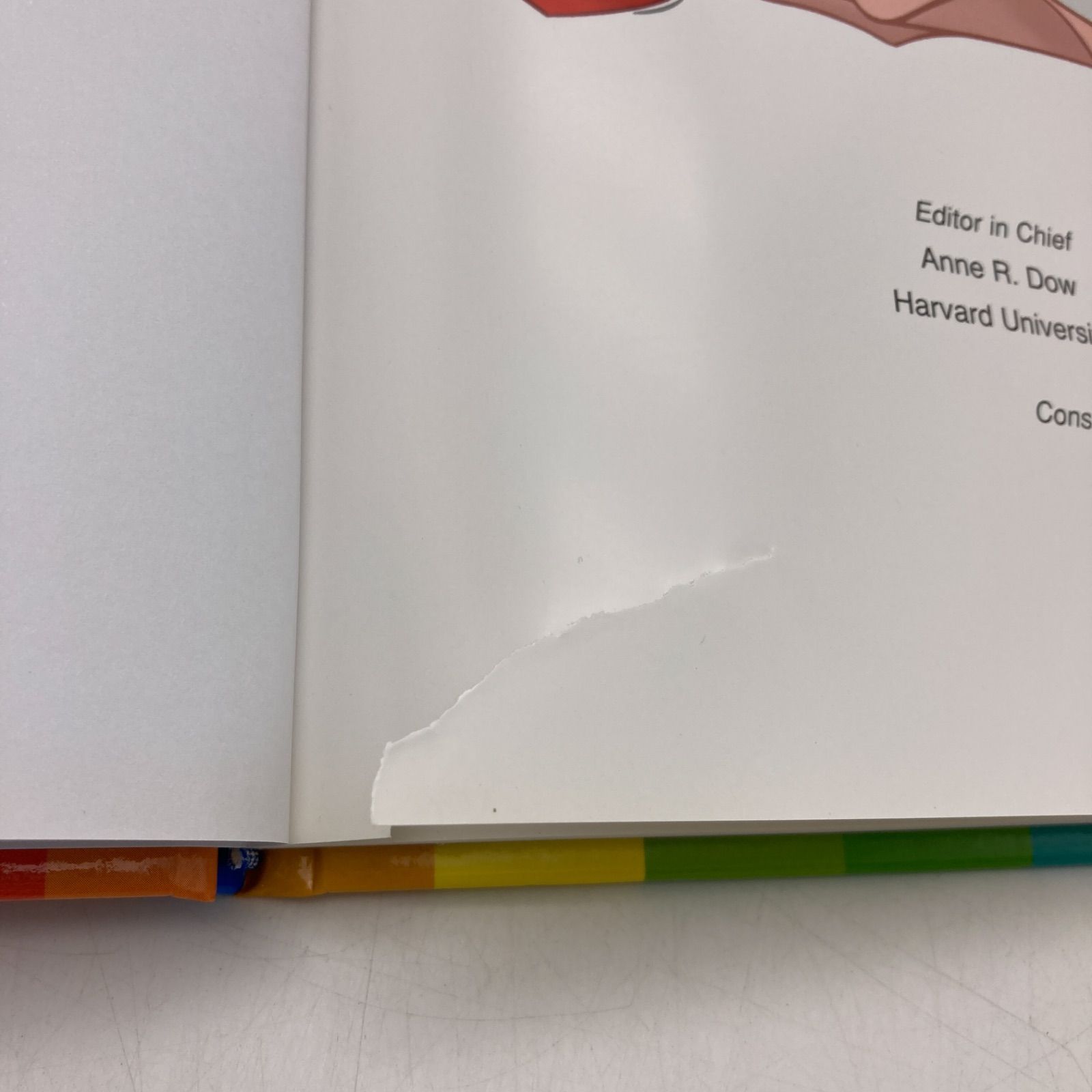 メインプログラム 絵本 CD DVD 新子役 ディズニー英語システム