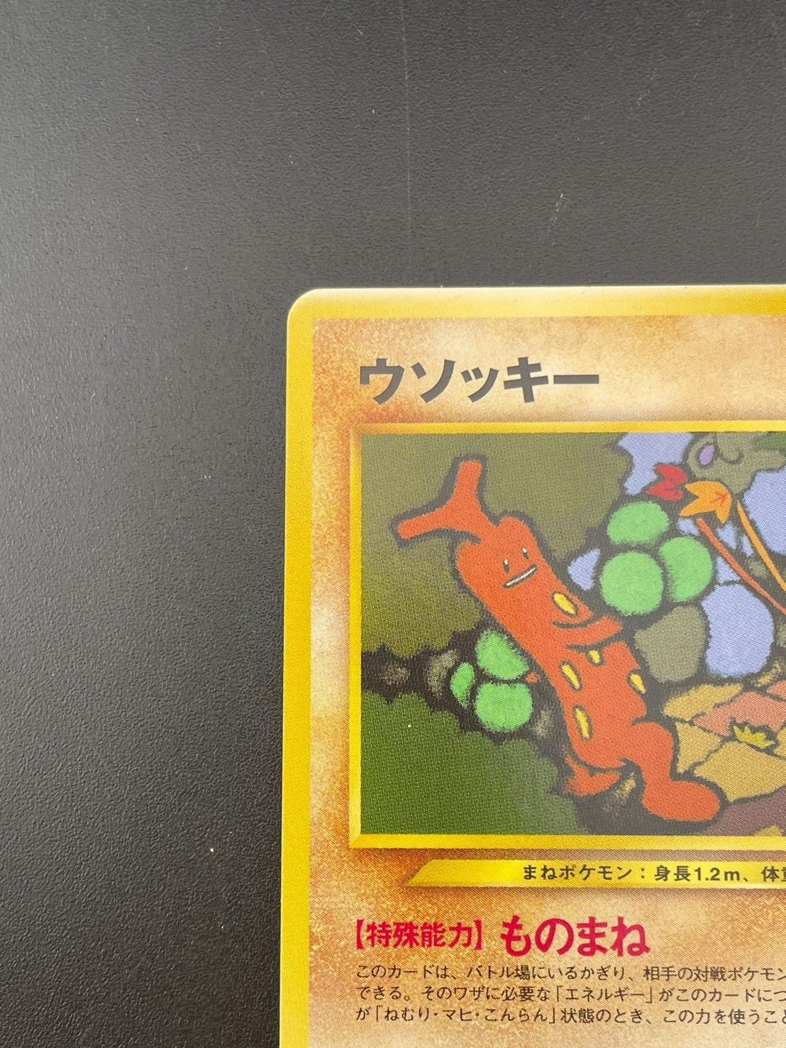 ARS鑑定品 10+】ウソッキー No.185 鑑定書 プレミアムファイル3 Neo