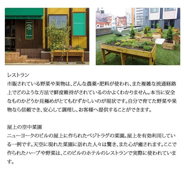 菜園生活 家庭菜園