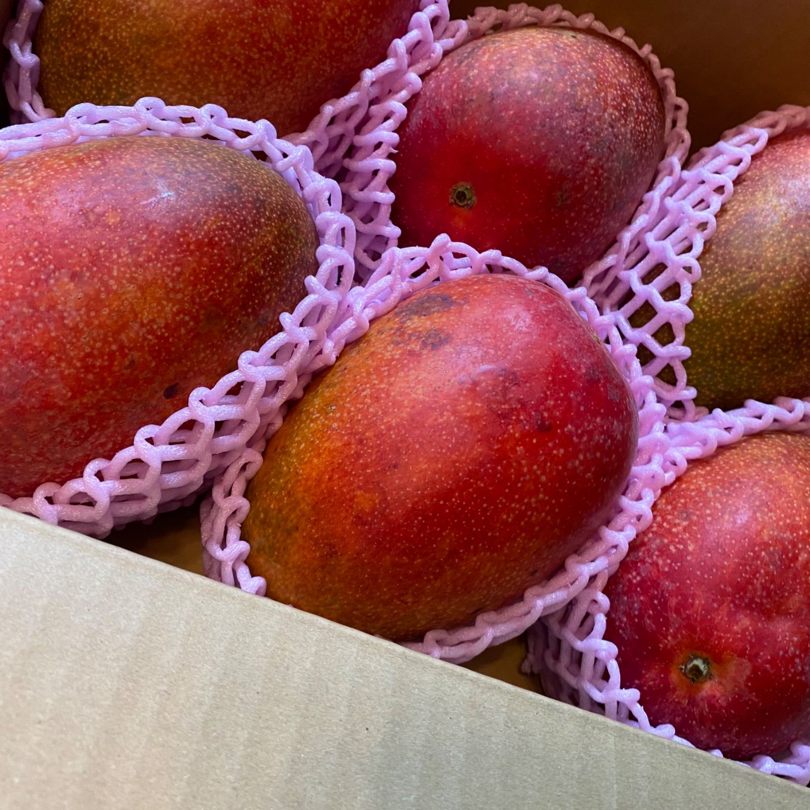 摘果マンゴー Ku May様 専用 【公式通販】