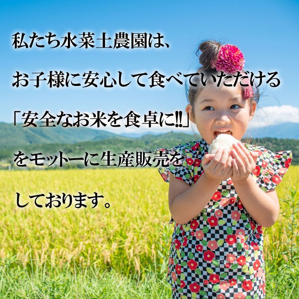 お米 米10kg