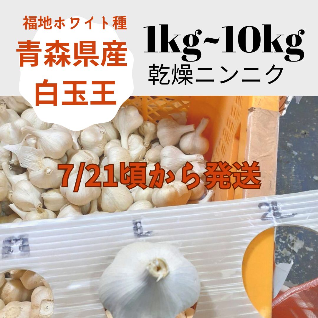 2キロ　メルカリ　青森県産　福地ホワイト種【白玉王】乾燥ニンニク