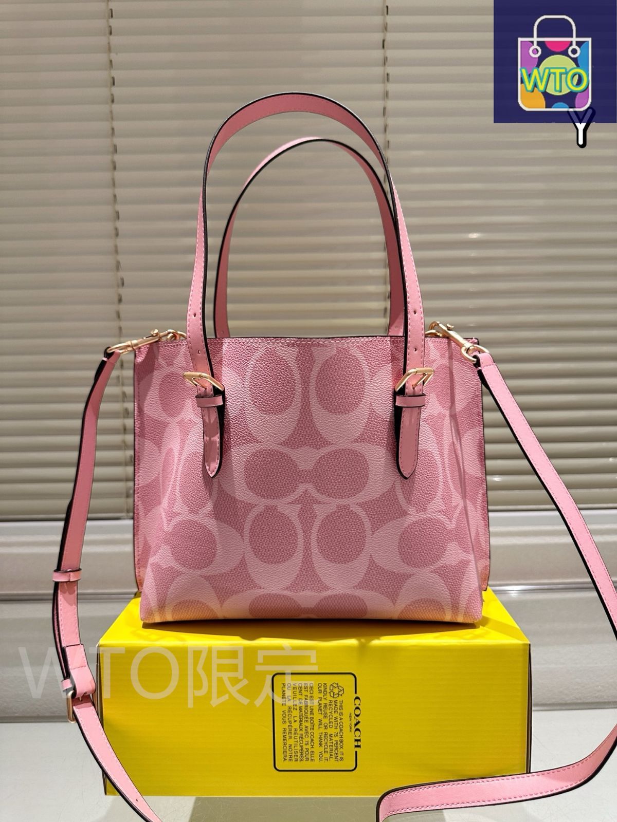 定番アイテム【COACH】Mollie 25 トートバッグ〈送料込〉 モリー トート 25