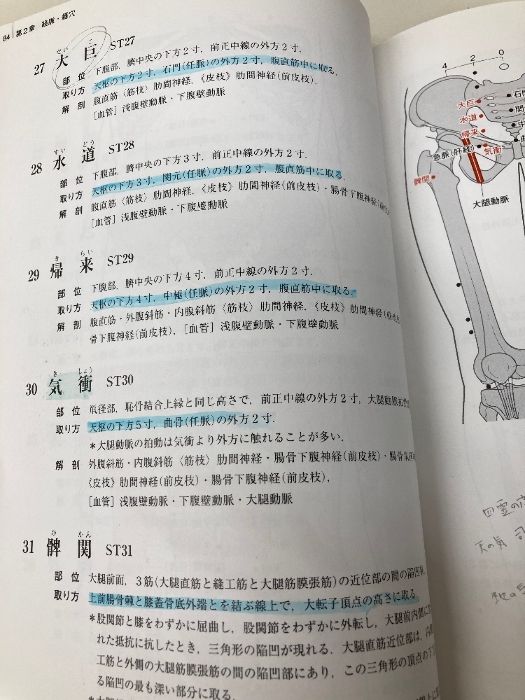 イタミ有・書き込み有】新版経絡経穴概論 医道の日本社 教科書