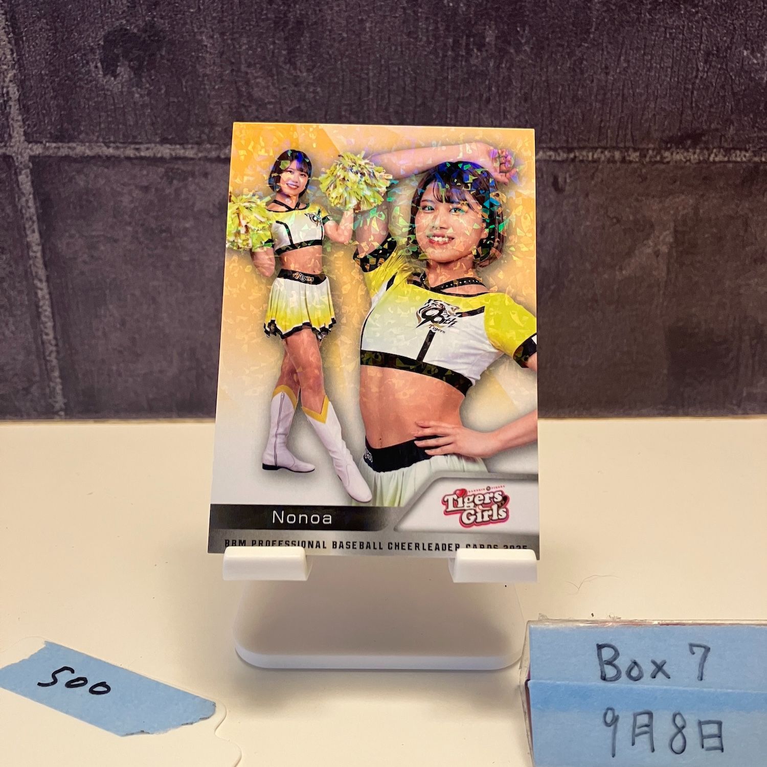 2025 BBM DANCING HEROINE Nonoa 阪神タイガース TigersGirls チア 